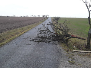 Vysočinu trápí silný vítr