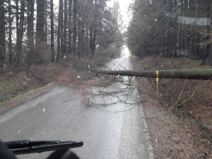 Vysočinu trápí silný vítr