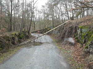 Vysočinu trápí silný vítr