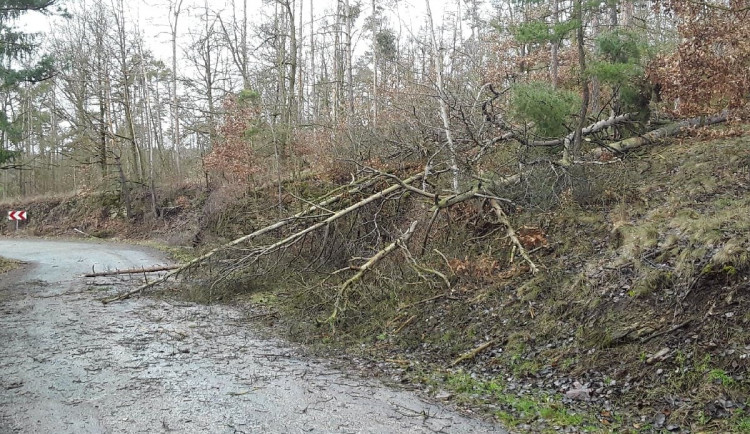 Vysočinu trápí silný vítr