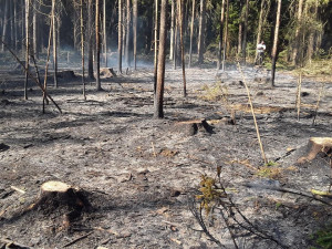 Požáry na Vysočině 6.4.2020