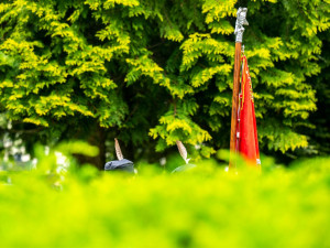 Vzpomínka na politické popravy v Jihlavě