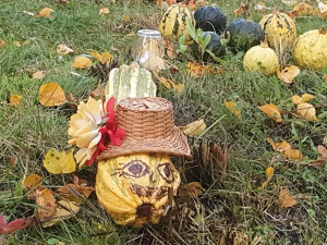 Podzim na ulici Leoše Janáčka