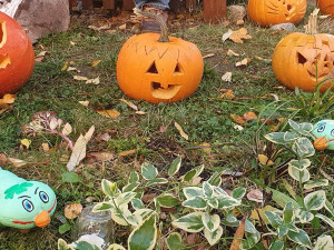 Podzim na ulici Leoše Janáčka