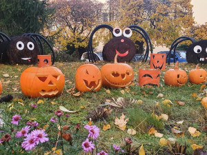 Podzim na ulici Leoše Janáčka