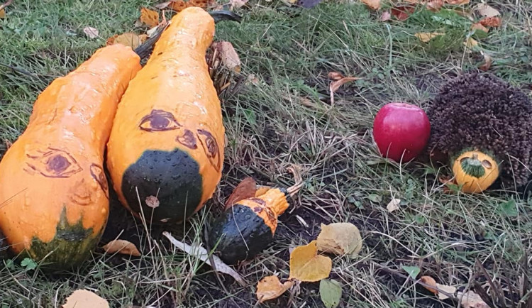 Podzim na ulici Leoše Janáčka