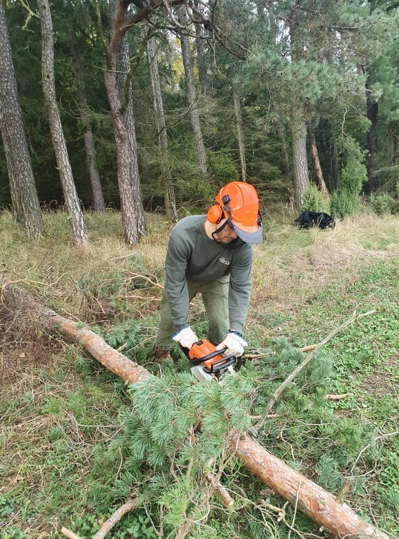 Vítězslav Brož