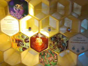 Včelí svět v Hulicích