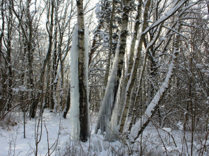 Lovětínský ledopád