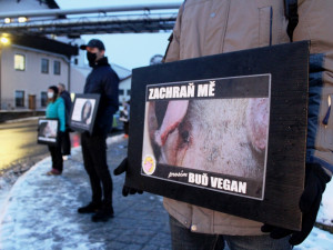 Kostelecká jatka, pietní akt