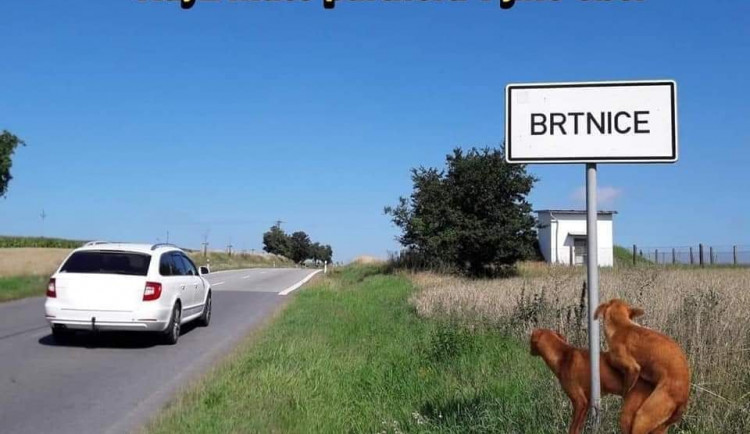 Fotky a virální videa o koronaviru