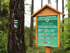 Lesní školka v Jihlavě