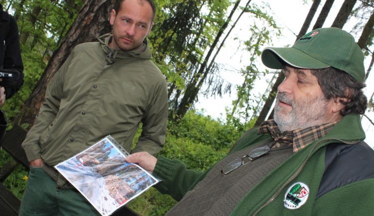 Lesní školka v Jihlavě