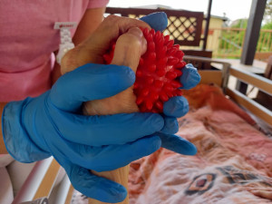 Aktivity v domově seniorů na Lesnově