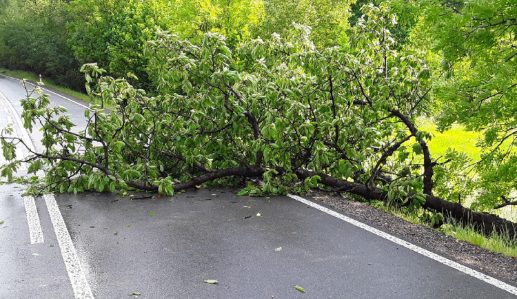 Bouřka a přívalový déšť na Vysočině, 21.6.2021