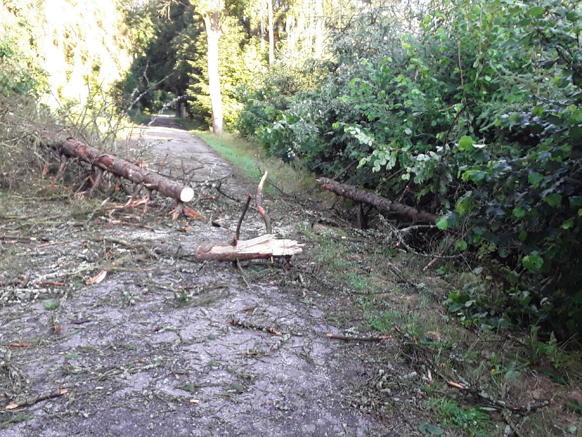 Noční bouřka na Vysočině a odklízení následků, 30.6.2021