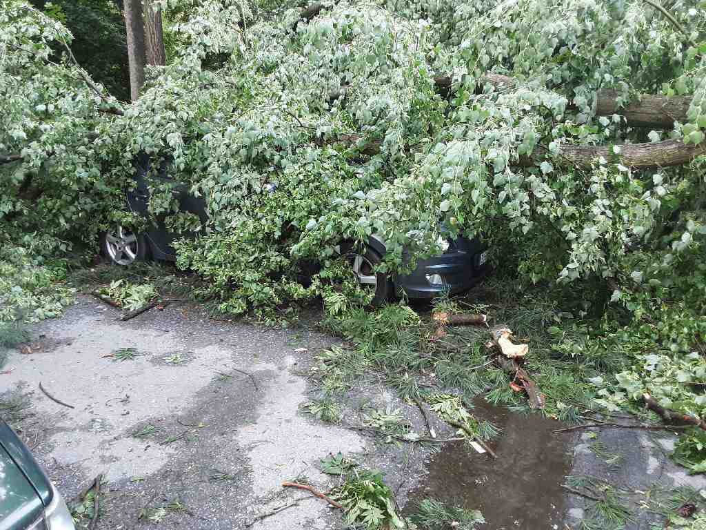 Noční bouřka na Vysočině a odklízení následků, 30.6.2021