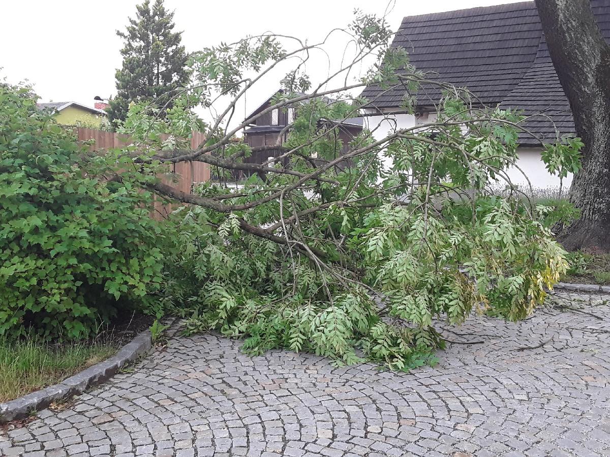 Noční bouřka na Vysočině a odklízení následků, 30.6.2021