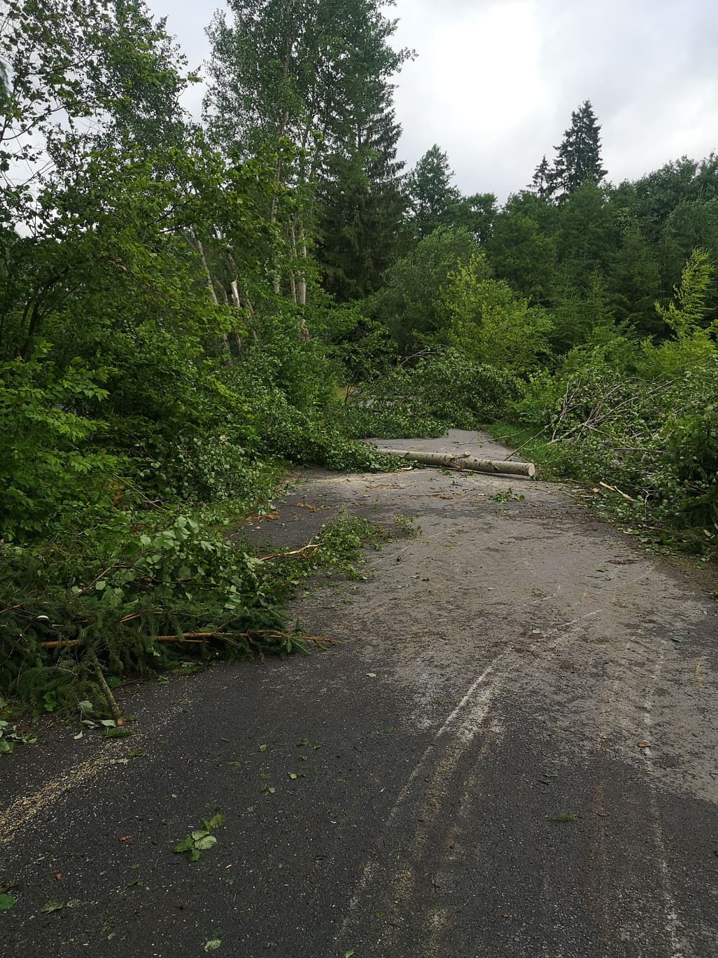 Noční bouřka na Vysočině a odklízení následků, 30.6.2021