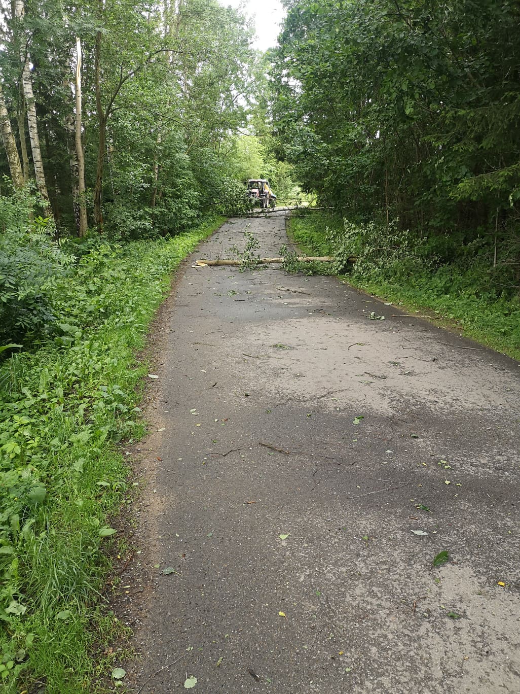 Noční bouřka na Vysočině a odklízení následků, 30.6.2021