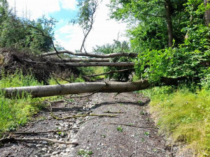 Noční bouřka na Vysočině a odklízení následků, 30.6.2021