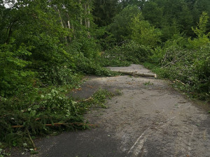 Noční bouřka na Vysočině a odklízení následků, 30.6.2021