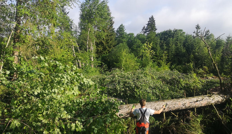 Noční bouřka na Vysočině a odklízení následků, 30.6.2021