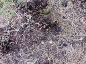 Likvidace válečné munice u Nového Města na Moravě