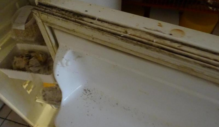 SZPI - kontrola jihlavské restaurace U Františka