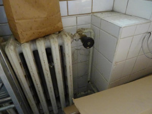 SZPI - kontrola jihlavské restaurace U Františka