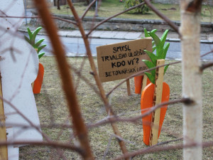 Den proti úložišti v lokalitě Hrádek