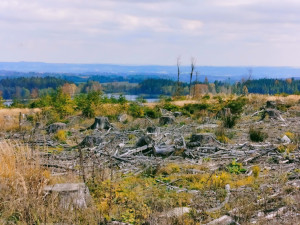 Podzim na Míchově skále
