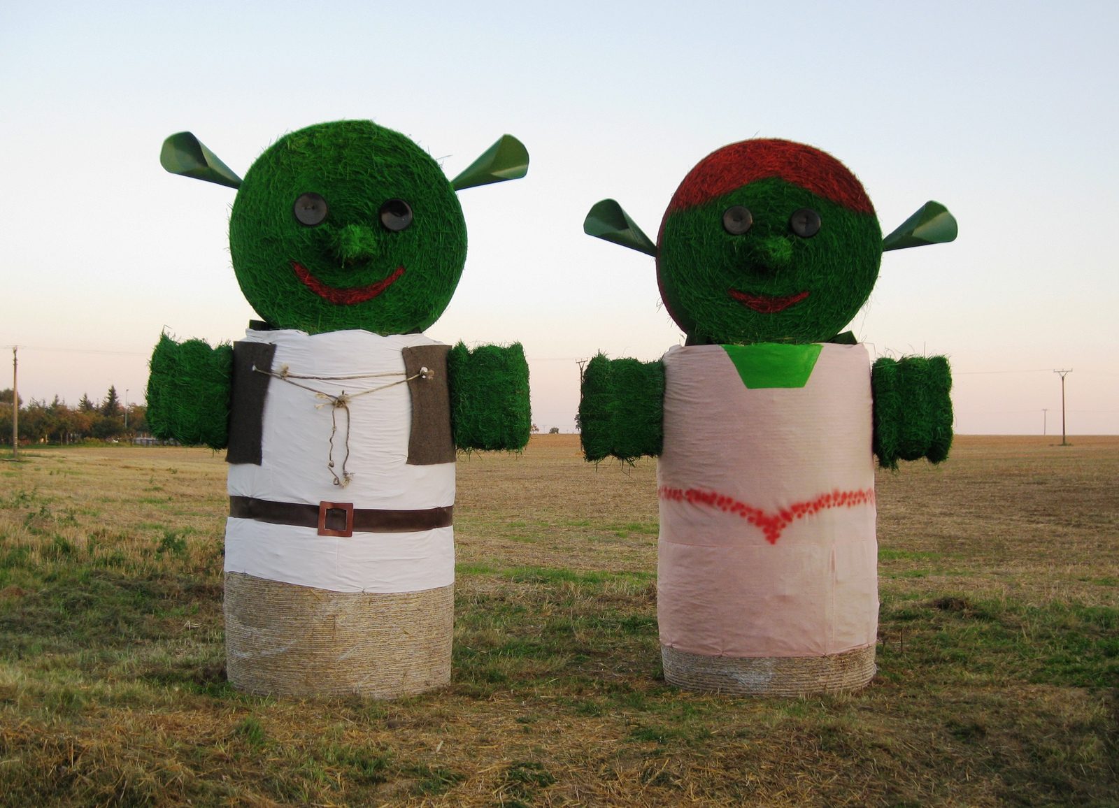 2009, Shrek a Fiona