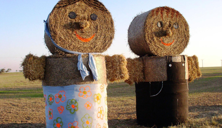 2005, Sedlák a selka