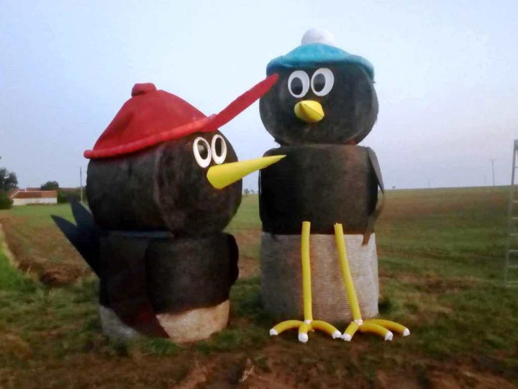 2018, Kosí bratři