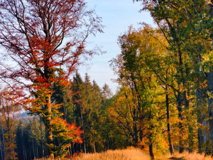 Podzim na Špičáku
