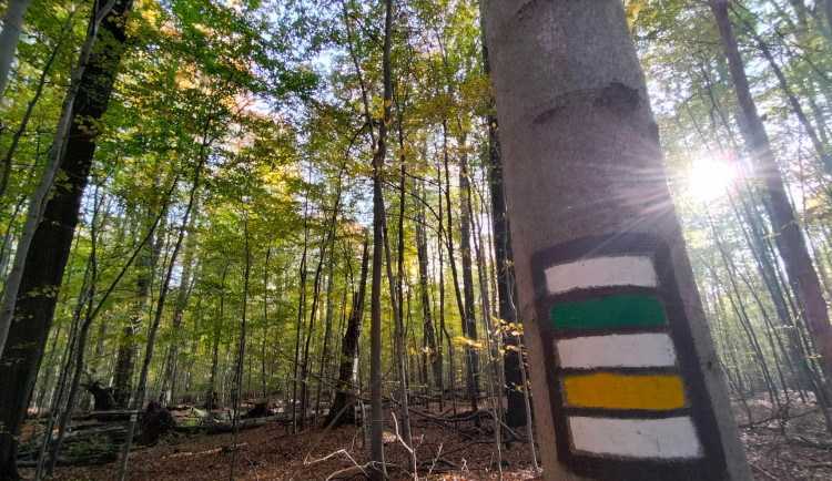 Podzim na Špičáku