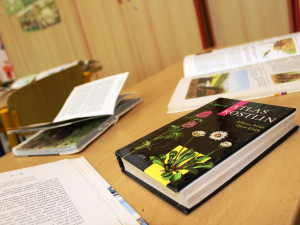 ZŠ Seifertova v Jihlavě slaví 50 let