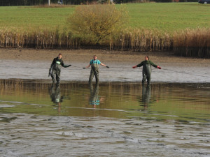 Výlov rybníka u Zborné