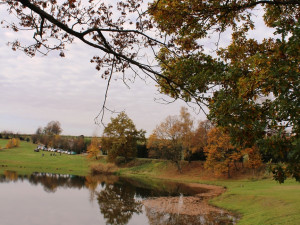 Výlov rybníka u Zborné
