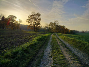 Rozhledna na Pekelném kopci za Třebíčí
