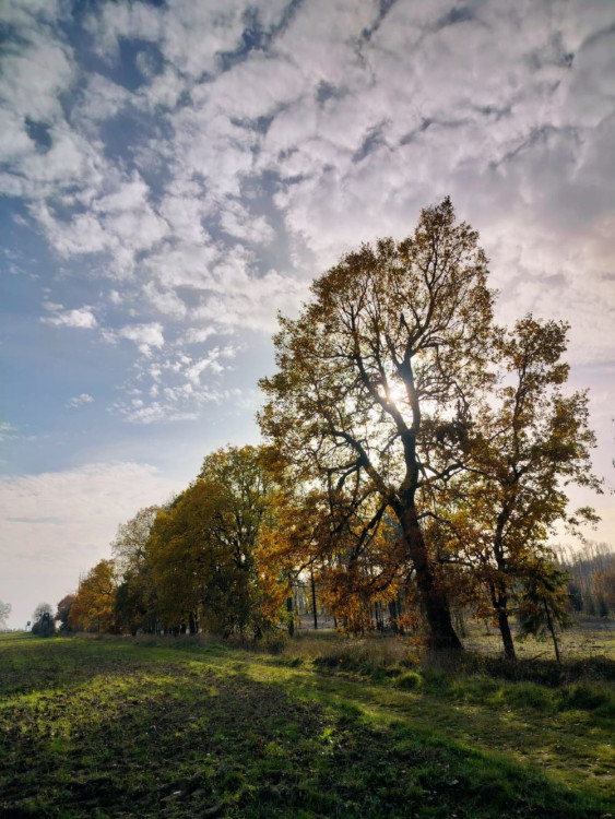Rozhledna na Pekelném kopci za Třebíčí