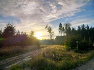 Procházka v okolí Stonařova