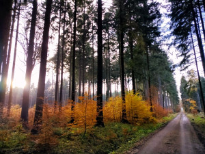 Procházka v okolí Stonařova