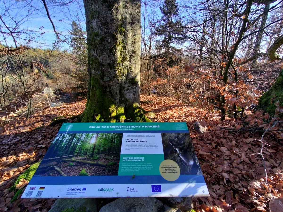 Zřícenina hradu Štamberk a kamenné moře