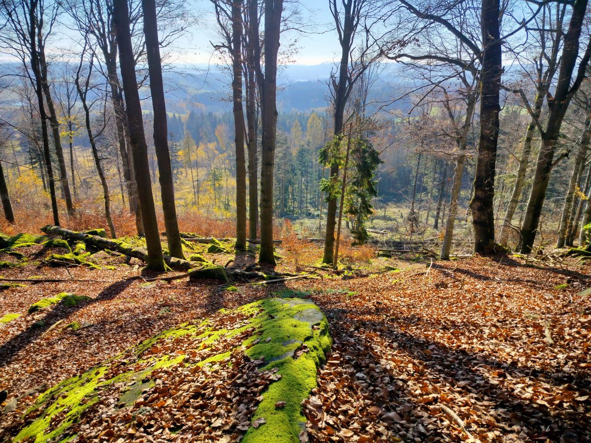 Zřícenina hradu Štamberk a kamenné moře