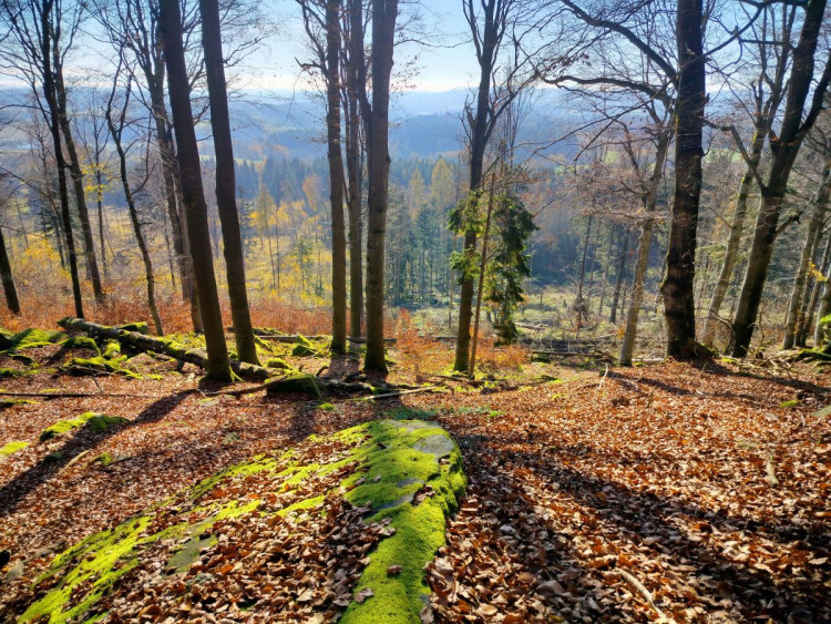 Zřícenina hradu Štamberk a kamenné moře