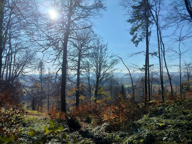Zřícenina hradu Štamberk a kamenné moře