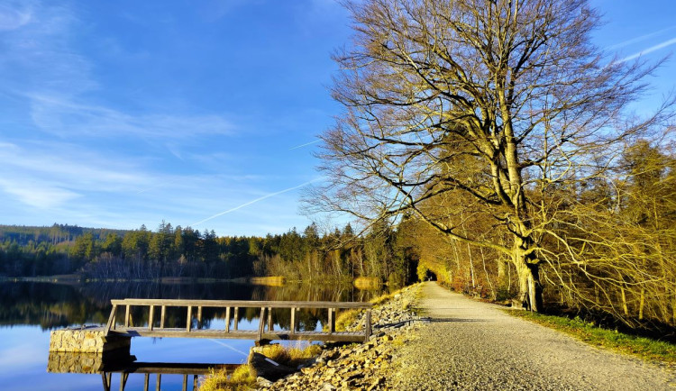 Javořice, Studánka Páně a Velký Pařezitý rybník