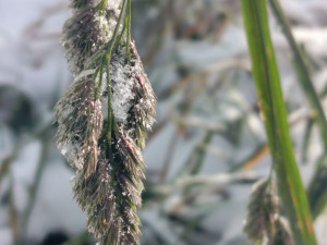 Kouzlo zimní krajiny